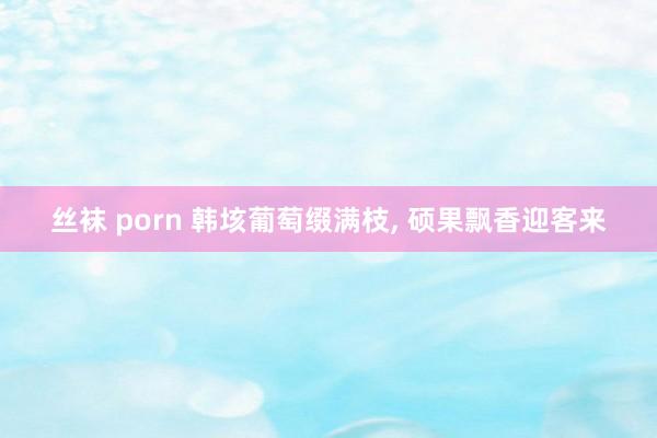 丝袜 porn 韩垓葡萄缀满枝， 硕果飘香迎客来