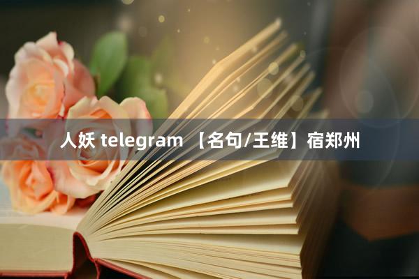 人妖 telegram 【名句/王维】宿郑州