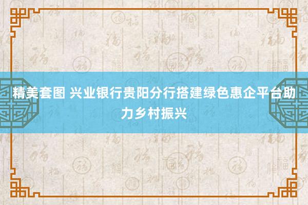 精美套图 兴业银行贵阳分行搭建绿色惠企平台助力乡村振兴