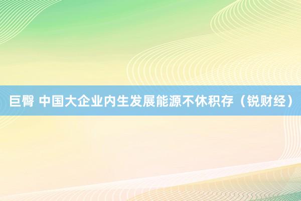 巨臀 中国大企业内生发展能源不休积存（锐财经）