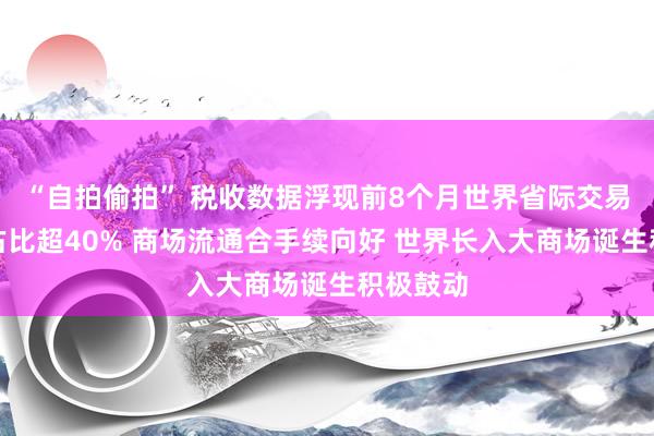 “自拍偷拍” 税收数据浮现前8个月世界省际交易销售额占比超40% 商场流通合手续向好 世界长入大商场诞生积极鼓动