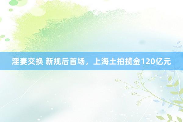 淫妻交换 新规后首场，上海土拍揽金120亿元