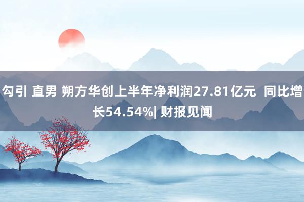 勾引 直男 朔方华创上半年净利润27.81亿元  同比增长54.54%| 财报见闻