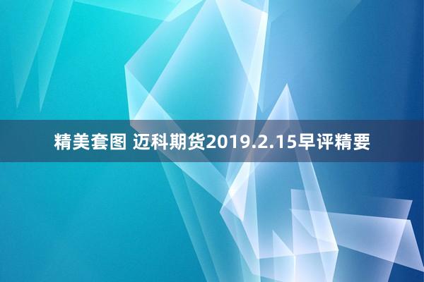 精美套图 迈科期货2019.2.15早评精要