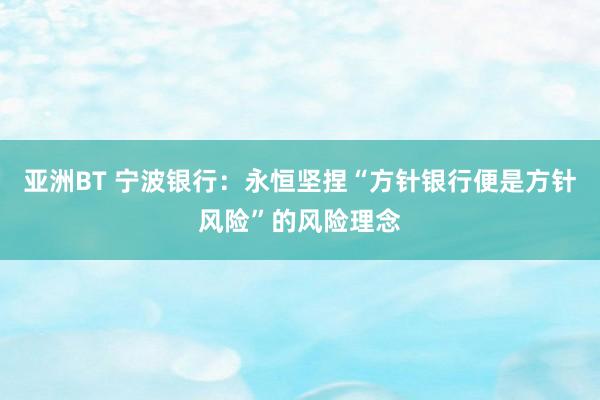 亚洲BT 宁波银行：永恒坚捏“方针银行便是方针风险”的风险理念