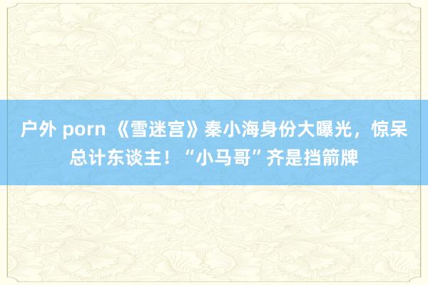 户外 porn 《雪迷宫》秦小海身份大曝光，惊呆总计东谈主！“小马哥”齐是挡箭牌