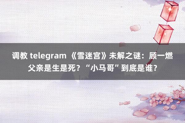 调教 telegram 《雪迷宫》未解之谜：顾一燃父亲是生是死？“小马哥”到底是谁？