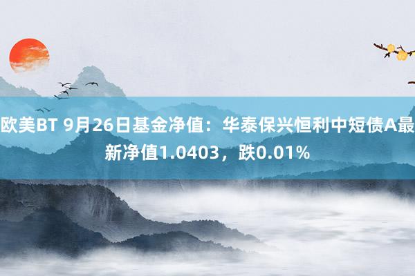 欧美BT 9月26日基金净值：华泰保兴恒利中短债A最新净值1.0403，跌0.01%