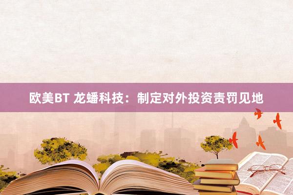 欧美BT 龙蟠科技：制定对外投资责罚见地