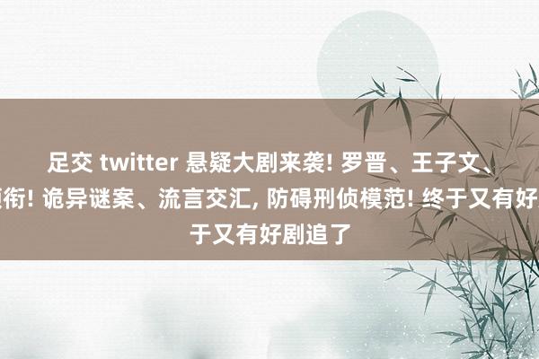 足交 twitter 悬疑大剧来袭! 罗晋、王子文、余男领衔! 诡异谜案、流言交汇， 防碍刑侦模范! 终于又有好剧追了