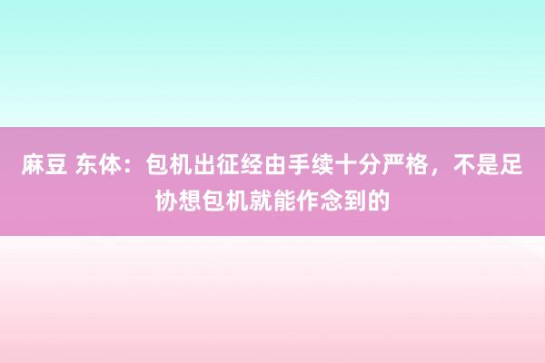 麻豆 东体：包机出征经由手续十分严格，不是足协想包机就能作念到的