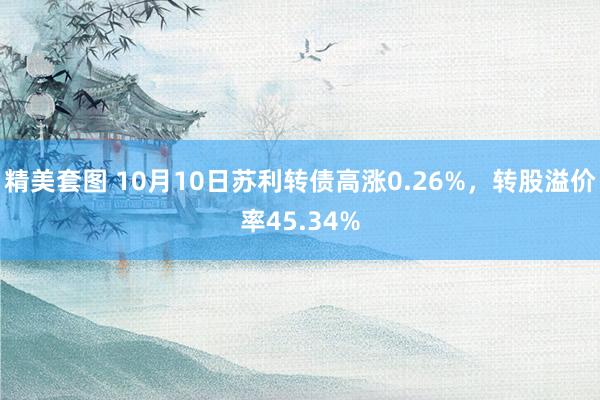 精美套图 10月10日苏利转债高涨0.26%，转股溢价率45.34%