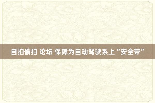 自拍偷拍 论坛 保障为自动驾驶系上“安全带”