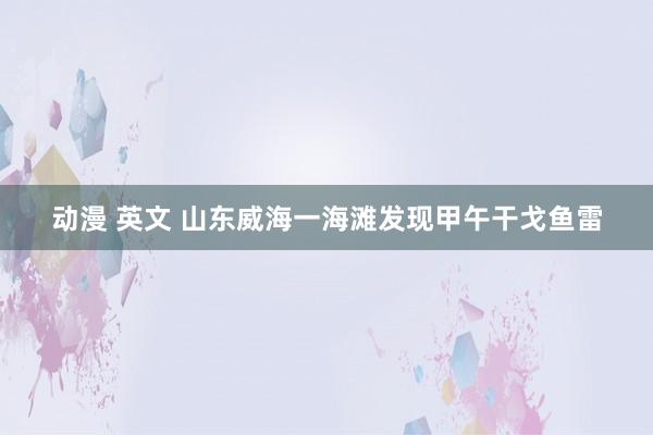 动漫 英文 山东威海一海滩发现甲午干戈鱼雷