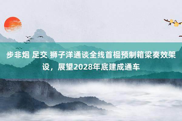 步非烟 足交 狮子洋通谈全线首榀预制箱梁奏效架设，展望2028年底建成通车