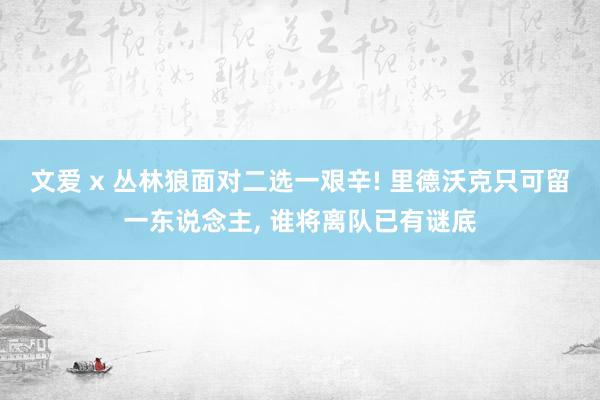 文爱 x 丛林狼面对二选一艰辛! 里德沃克只可留一东说念主， 谁将离队已有谜底