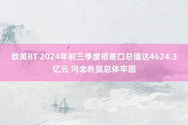 欧美BT 2024年前三季度相差口总值达4624.3亿元 河北外贸总体牢固