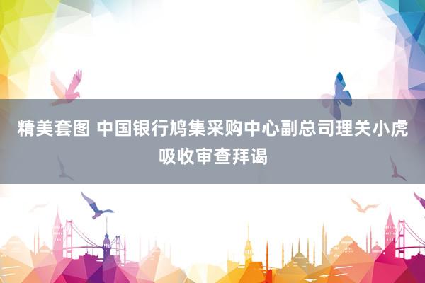 精美套图 中国银行鸠集采购中心副总司理关小虎吸收审查拜谒