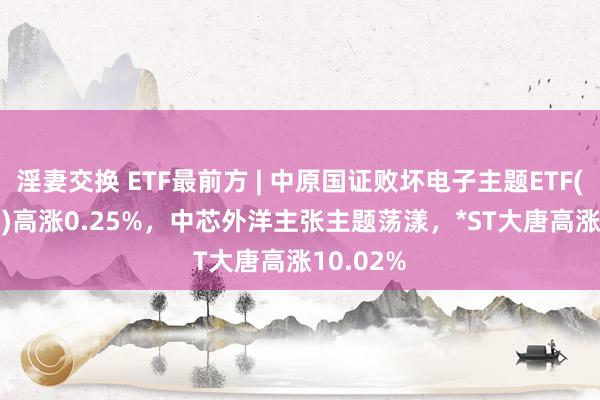 淫妻交换 ETF最前方 | 中原国证败坏电子主题ETF(159732)高涨0.25%，中芯外洋主张主题荡漾，*ST大唐高涨10.02%