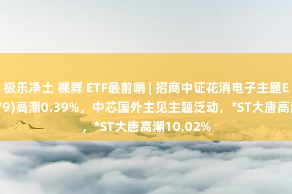 极乐净土 裸舞 ETF最前哨 | 招商中证花消电子主题ETF(159779)高潮0.39%，中芯国外主见主题泛动，*ST大唐高潮10.02%