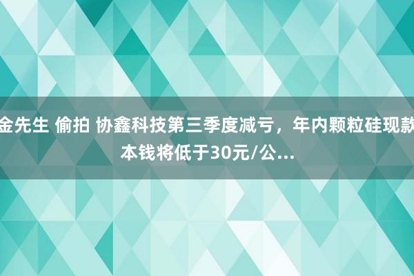 金先生 偷拍 协鑫科技第三季度减亏，年内颗粒硅现款本钱将低于30元/公...