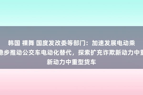 韩国 裸舞 国度发改委等部门：加速发展电动乘用车，稳步推动公交车电动化替代，探索扩充诈欺新动力中重型货车