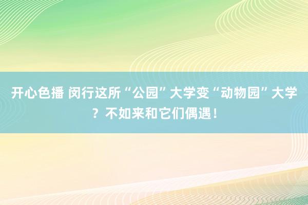 开心色播 闵行这所“公园”大学变“动物园”大学？不如来和它们偶遇！