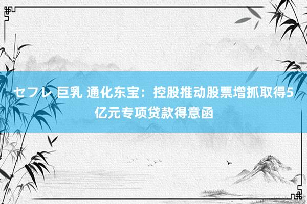 セフレ 巨乳 通化东宝：控股推动股票增抓取得5亿元专项贷款得意函