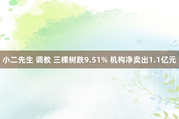 小二先生 调教 三棵树跌9.51% 机构净卖出1.1亿元