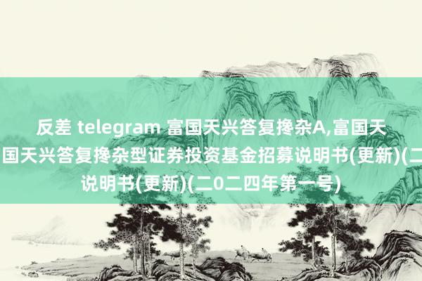 反差 telegram 富国天兴答复搀杂A，富国天兴答复搀杂C: 富国天兴答复搀杂型证券投资基金招募说明书(更新)(二0二四年第一号)