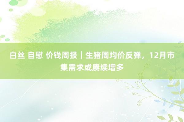 白丝 自慰 价钱周报｜生猪周均价反弹，12月市集需求或赓续增多