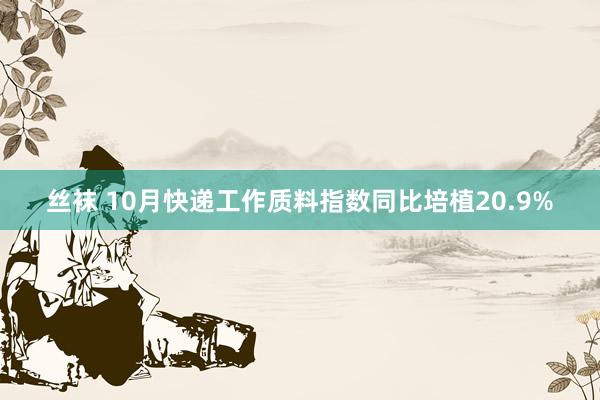 丝袜 10月快递工作质料指数同比培植20.9%