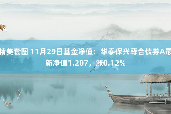 精美套图 11月29日基金净值：华泰保兴尊合债券A最新净值1.207，涨0.12%