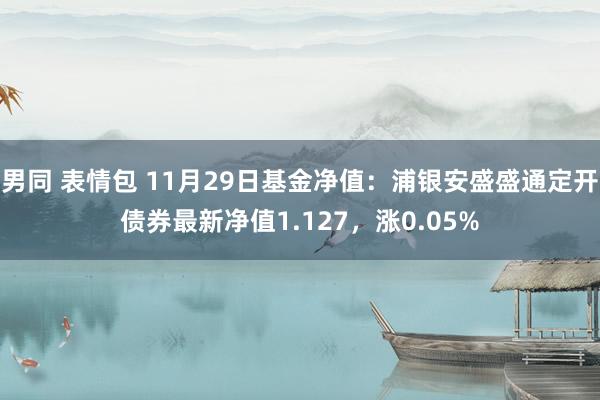 男同 表情包 11月29日基金净值：浦银安盛盛通定开债券最新净值1.127，涨0.05%