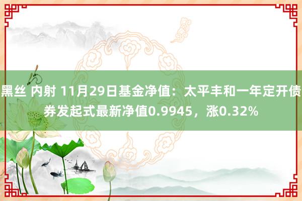 黑丝 内射 11月29日基金净值：太平丰和一年定开债券发起式最新净值0.9945，涨0.32%