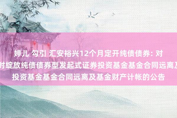 婷儿 勾引 汇安裕兴12个月定开纯债债券: 对于汇安裕兴12个月按时绽放纯债债券型发起式证券投资基金基金合同远离及基金财产计帐的公告