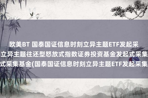 欧美BT 国泰国证信息时刻立异主题ETF发起采集A: 国泰国证信息时刻立异主题往还型怒放式指数证券投资基金发起式采集基金(国泰国证信息时刻立异主题ETF发起采集A)产物贵寓概要更新