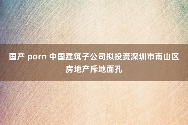 国产 porn 中国建筑子公司拟投资深圳市南山区房地产斥地面孔