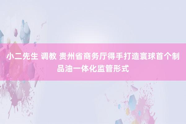 小二先生 调教 贵州省商务厅得手打造寰球首个制品油一体化监管形式