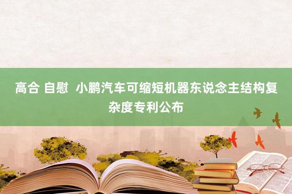 高合 自慰  小鹏汽车可缩短机器东说念主结构复杂度专利公布