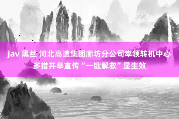 jav 黑丝 河北高速集团廊坊分公司率领转机中心多措并举宣传“一键解救”显生效