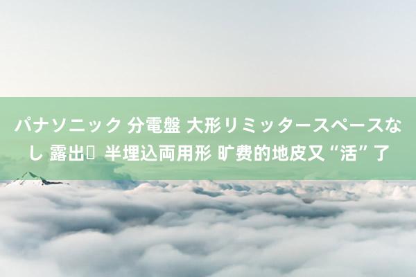 パナソニック 分電盤 大形リミッタースペースなし 露出・半埋込両用形 旷费的地皮又“活”了