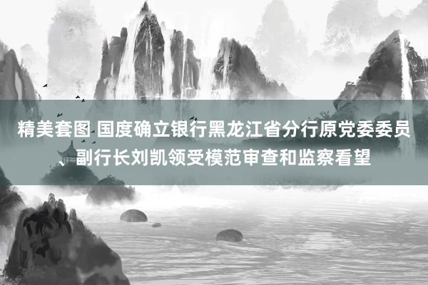 精美套图 国度确立银行黑龙江省分行原党委委员、副行长刘凯领受模范审查和监察看望