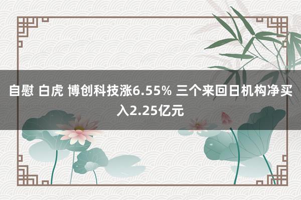 自慰 白虎 博创科技涨6.55% 三个来回日机构净买入2.25亿元