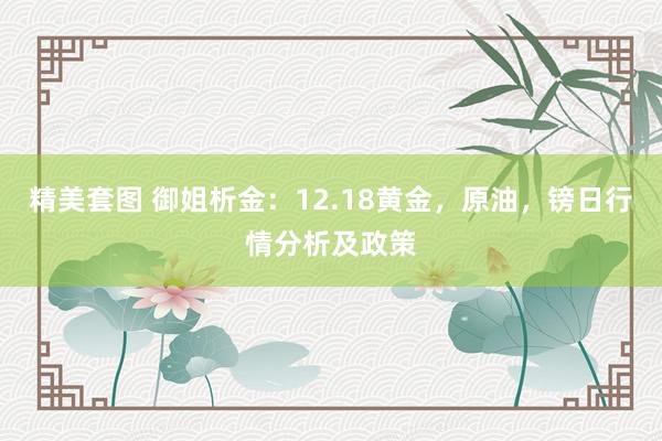 精美套图 御姐析金：12.18黄金，原油，镑日行情分析及政策