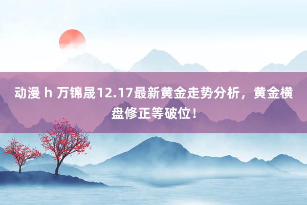 动漫 h 万锦晟12.17最新黄金走势分析，黄金横盘修正等破位！