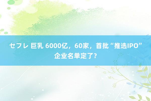 セフレ 巨乳 6000亿，60家，首批“推选IPO”企业名单定了？