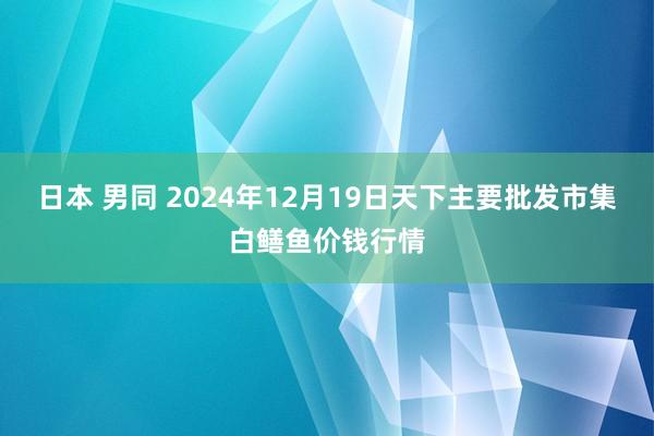 日本 男同 2024年12月19日天下主要批发市集白鳝鱼价钱行情