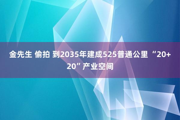 金先生 偷拍 到2035年建成525普通公里 “20+20”产业空间