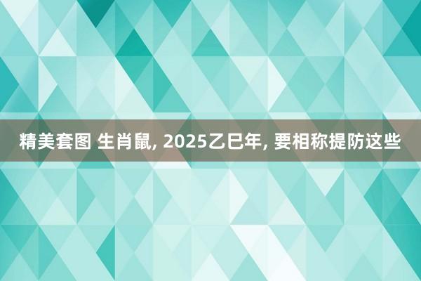 精美套图 生肖鼠， 2025乙巳年， 要相称提防这些